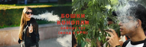 мяу мяу мука Белокуриха